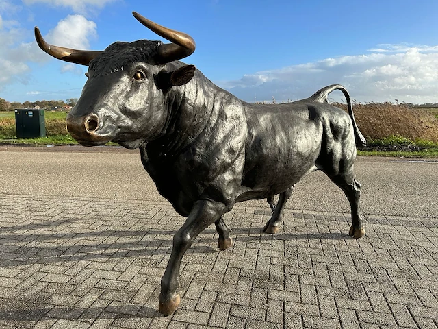 Stier - afbeelding 4 van  6