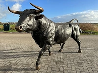 Stier - afbeelding 4 van  6