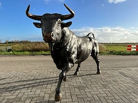 Stier - afbeelding 5 van  6