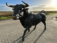 Stier - afbeelding 6 van  6