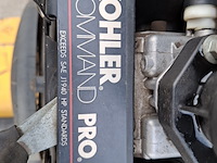 Stobbenfrees, vermeer, sc252, 2013 - afbeelding 2 van  21