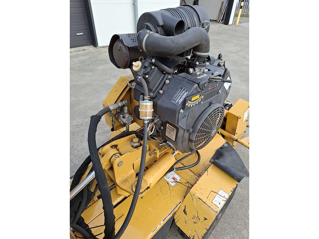 Stobbenfrees, vermeer, sc252, 2013 - afbeelding 3 van  21