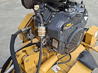 Stobbenfrees, vermeer, sc252, 2013 - afbeelding 3 van  21