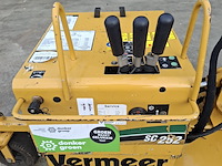 Stobbenfrees, vermeer, sc252, 2013 - afbeelding 5 van  21