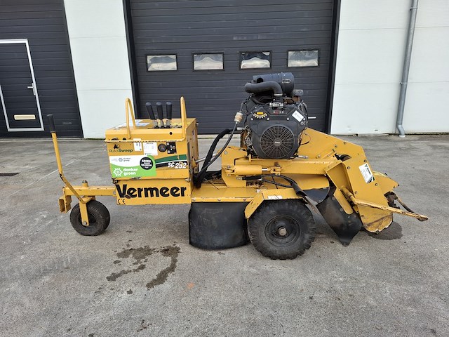 Stobbenfrees, vermeer, sc252, 2013 - afbeelding 1 van  21