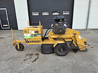 Stobbenfrees, vermeer, sc252, 2013 - afbeelding 1 van  21