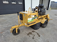 Stobbenfrees, vermeer, sc252, 2013 - afbeelding 12 van  21