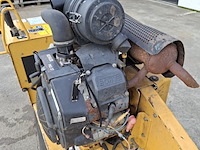 Stobbenfrees, vermeer, sc252, 2013 - afbeelding 20 van  21