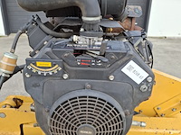 Stobbenfrees, vermeer, sc252, 2013 - afbeelding 21 van  21