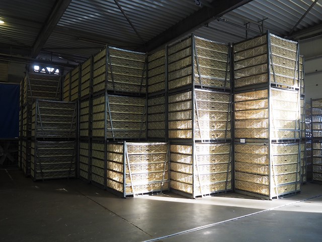 Stork - afbeelding 1 van  15