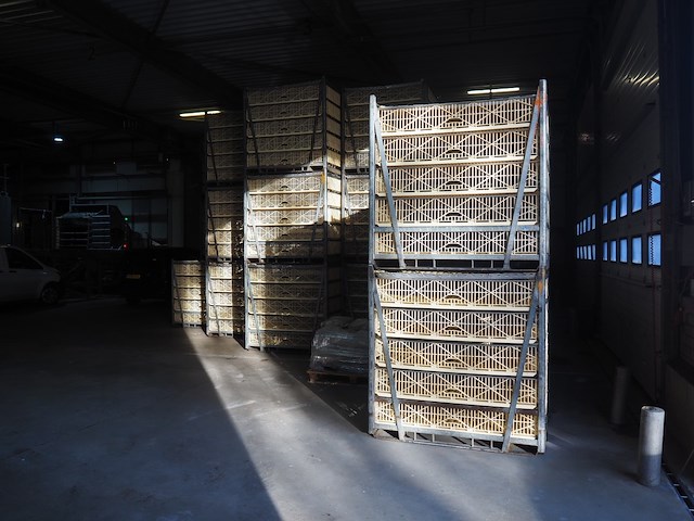 Stork - afbeelding 8 van  15