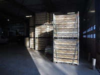 Stork - afbeelding 8 van  15