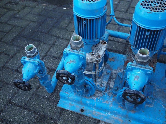 Stork - afbeelding 10 van  14