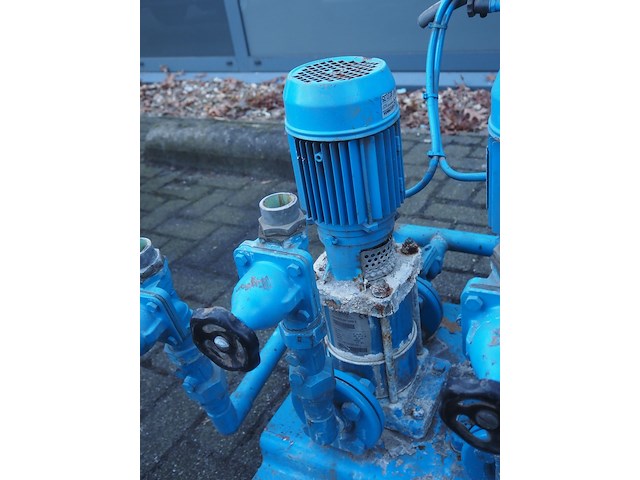 Stork - afbeelding 11 van  14