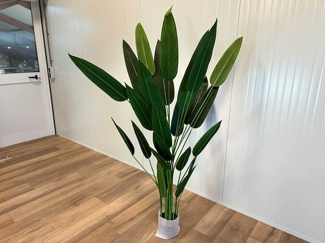 Strelitzia kunstplant - afbeelding 1 van  16