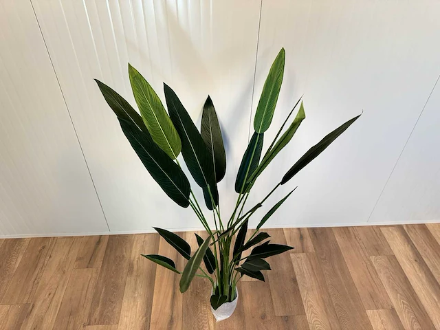 Strelitzia kunstplant - afbeelding 13 van  16