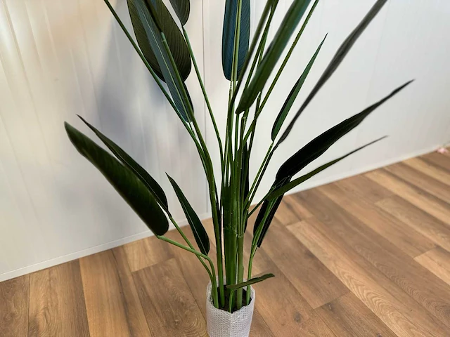 Strelitzia kunstplant - afbeelding 14 van  16