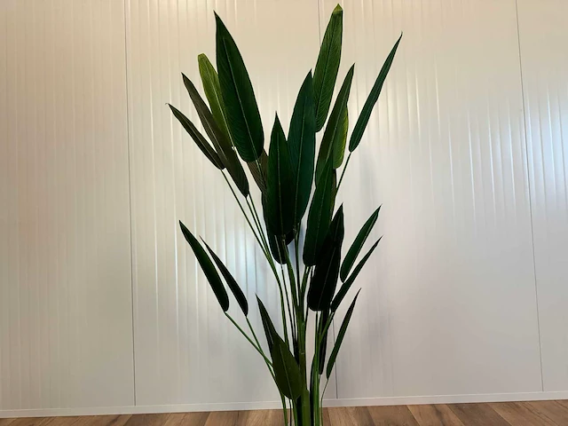 Strelitzia kunstplant - afbeelding 15 van  16