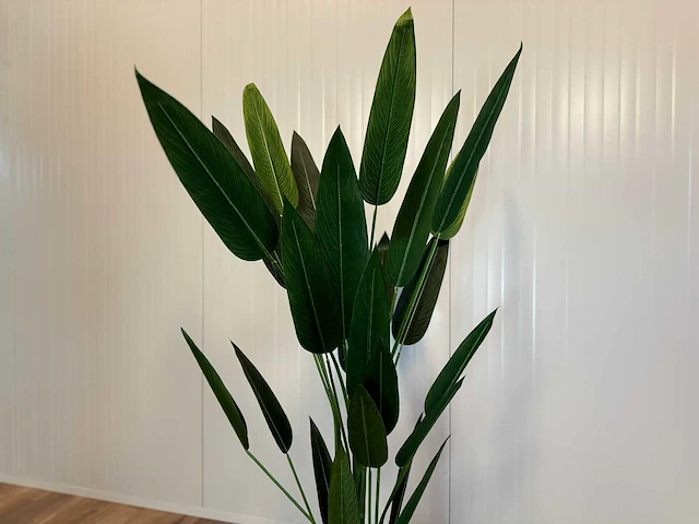 Strelitzia kunstplant - afbeelding 16 van  16