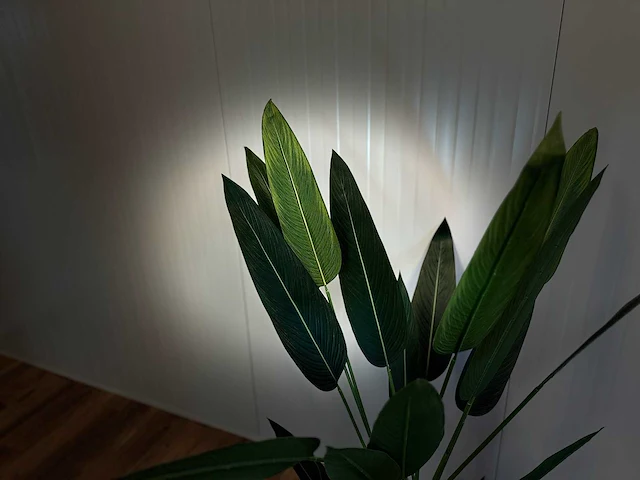 Strelitzia kunstplant - afbeelding 7 van  16