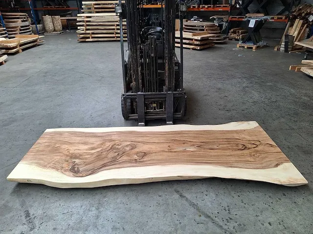Suar boomstam tafelblad 300 cm - afbeelding 2 van  3