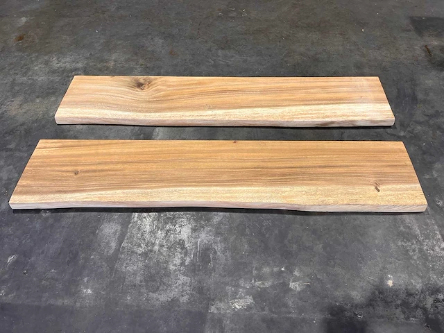 Suar boomstam wandplank (2x) - afbeelding 1 van  3