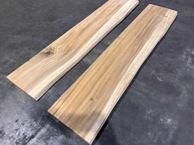 Suar boomstam wandplank (2x) - afbeelding 3 van  3