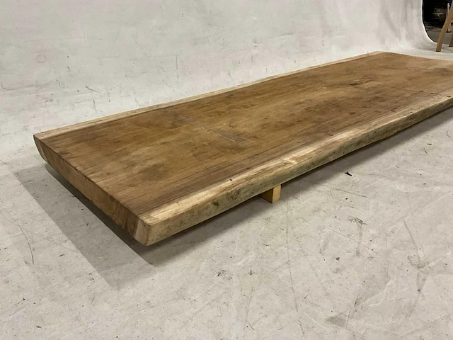 Suar boomstamblad 300 cm - afbeelding 2 van  5