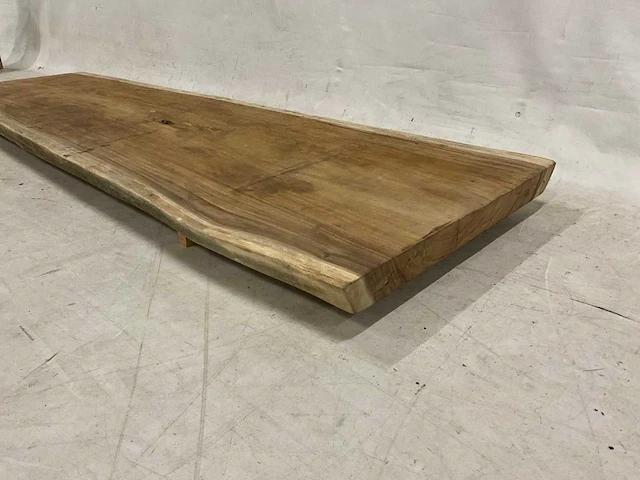Suar boomstamblad 300 cm - afbeelding 3 van  5