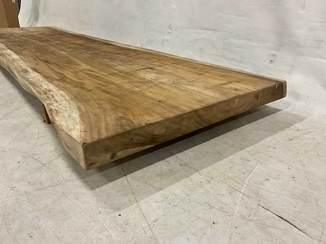 Suar boomstamblad 300 cm - afbeelding 4 van  5