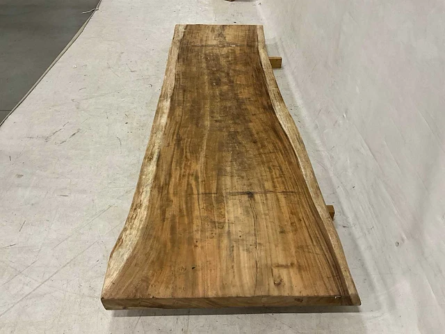 Suar boomstamblad 300 cm - afbeelding 5 van  5