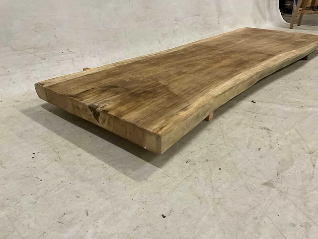 Suar boomstamblad 300 cm - afbeelding 2 van  5