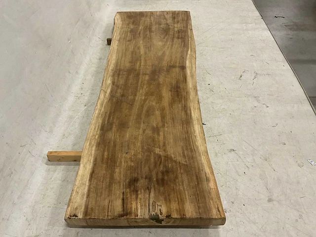 Suar boomstamblad 300 cm - afbeelding 3 van  5