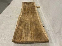 Suar boomstamblad 300 cm - afbeelding 5 van  5
