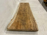 Suar boomstamblad 300 cm - afbeelding 3 van  5