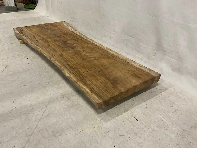 Suar boomstamblad 300 cm - afbeelding 4 van  5