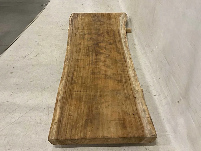 Suar boomstamblad 300 cm - afbeelding 5 van  5