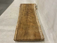Suar boomstamblad 300 cm - afbeelding 5 van  5