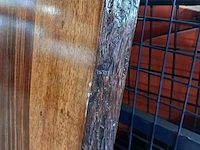 Suar walnut solid wood table epoxy, 2025 - afbeelding 3 van  7