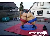 Sumo volwassenen - afbeelding 1 van  1