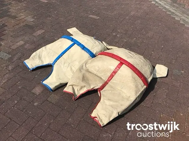 Sumopak kids - afbeelding 2 van  4