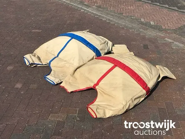 Sumopak volwassen - afbeelding 4 van  4