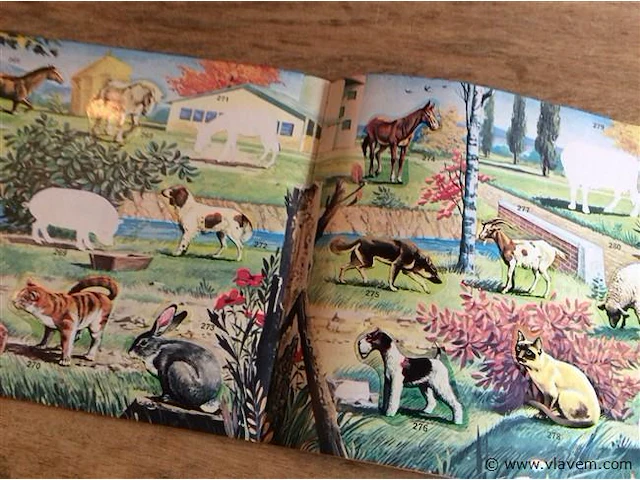 Super zoo panini ( niet compleet ) - afbeelding 4 van  6