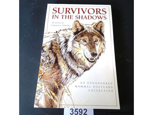 Survivors in the shadow. in postcards - afbeelding 1 van  5