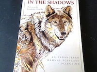 Survivors in the shadow. in postcards - afbeelding 1 van  5