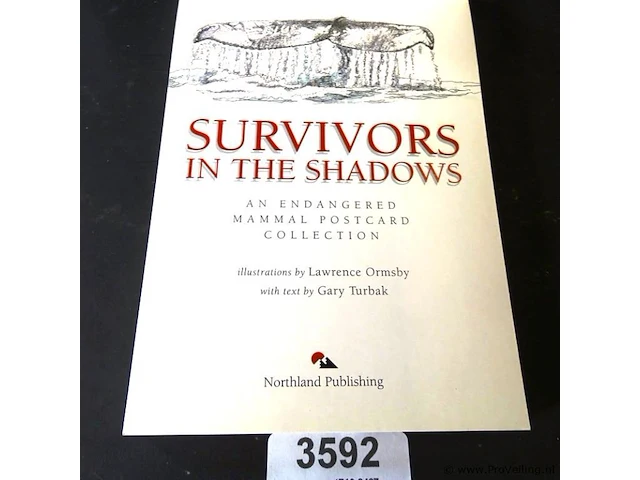Survivors in the shadow. in postcards - afbeelding 2 van  5