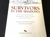 Survivors in the shadow. in postcards - afbeelding 2 van  5