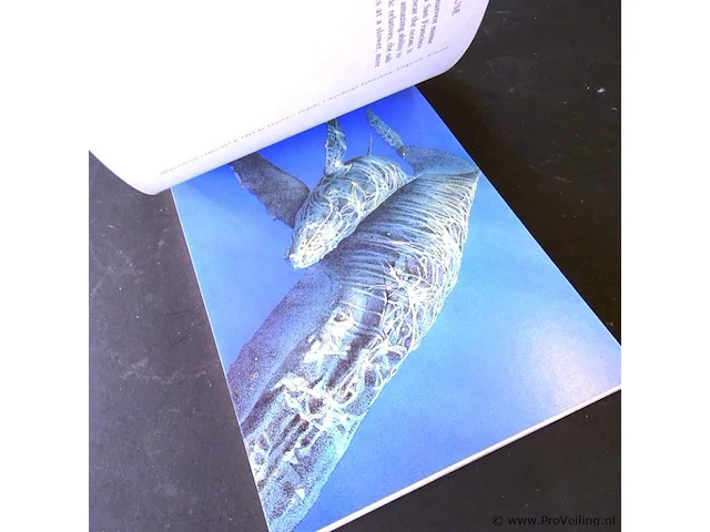 Survivors in the shadow. in postcards - afbeelding 5 van  5