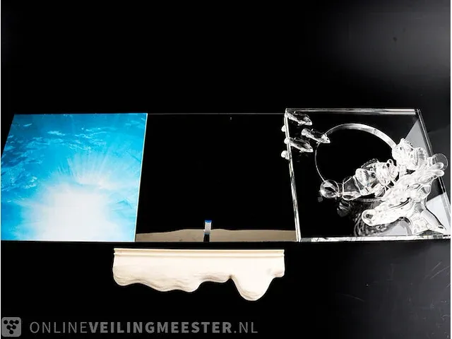 Swarovski kristal wonders of the sea - harmony swarovski kristal - afbeelding 4 van  16