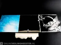 Swarovski kristal wonders of the sea - harmony swarovski kristal - afbeelding 4 van  16